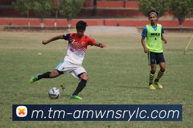 威尼斯人官网平台生态图